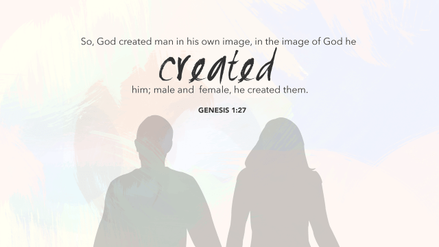 Genesis 127 [widescreen]